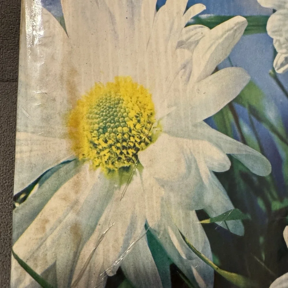 Vintage Pioneer Photo Album 20 Pages Self Adhesive Daisies Sealed NOS